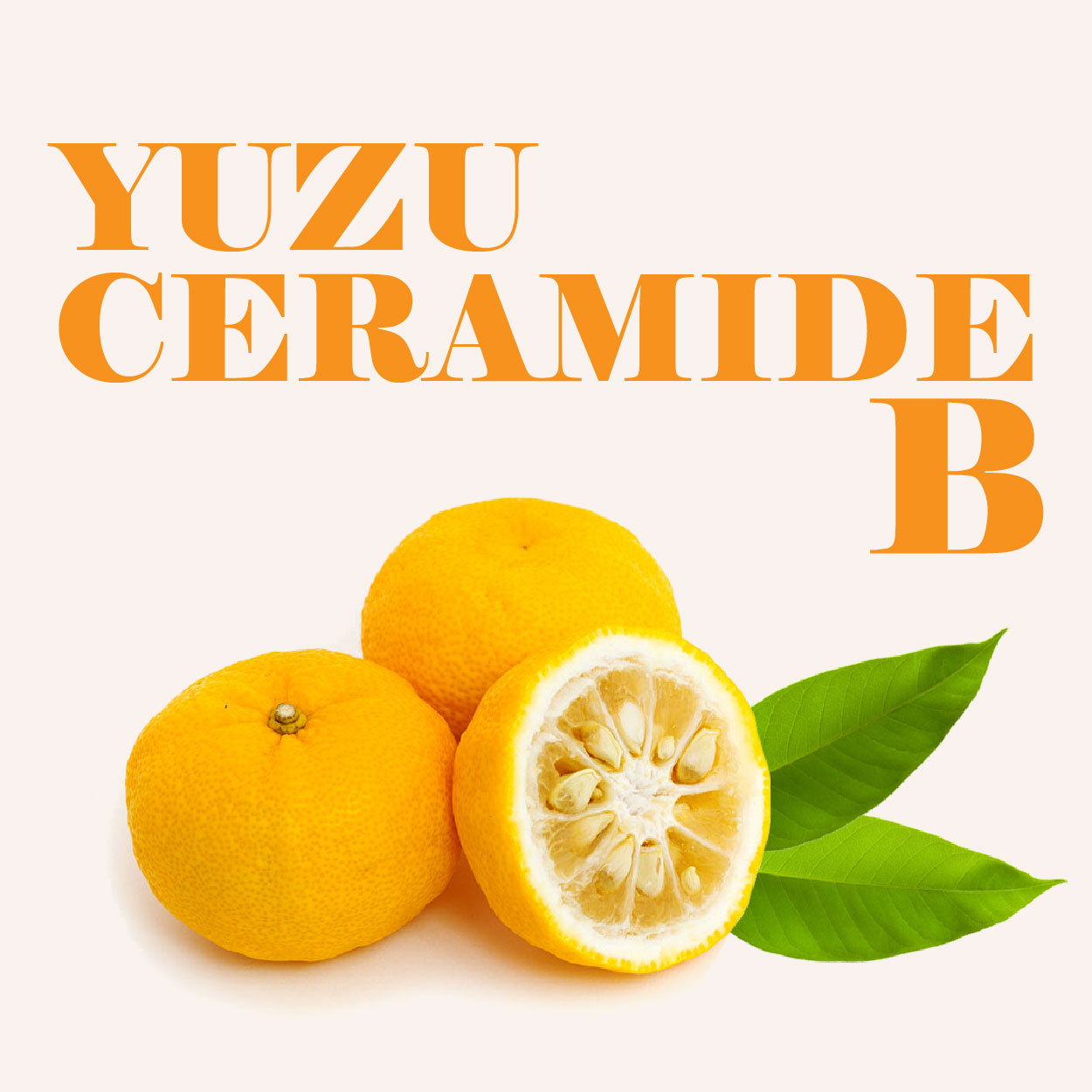 YUZU CERAMIDE B