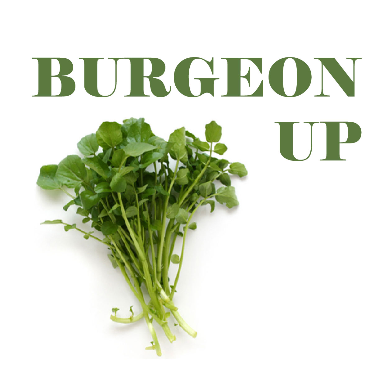 BURGEON UP